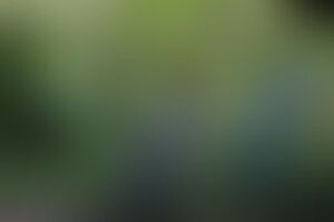 Фотография квеста Индиана Джонс от компании Изоляция (Фото 1)